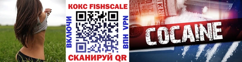 omg как войти  где продают наркотики  Медногорск  Кокаин FishScale 