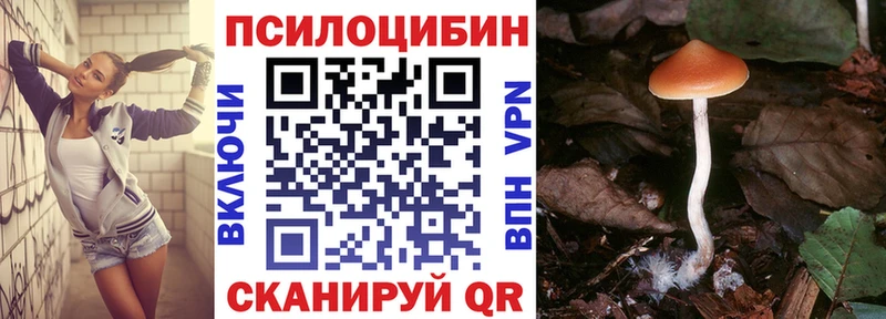 МЕГА ссылки  Медногорск  Псилоцибиновые грибы ЛСД  цена  
