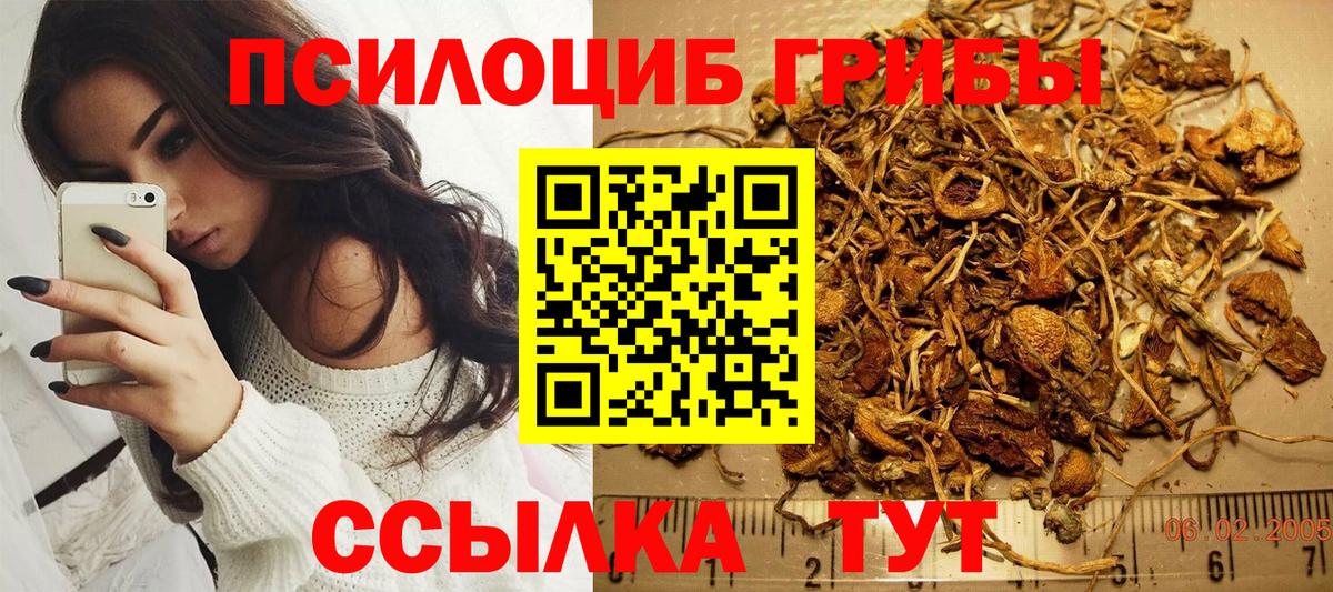 Псилоцибиновые грибы MAGIC MUSHROOMS  Вход с VPN  Медногорск 